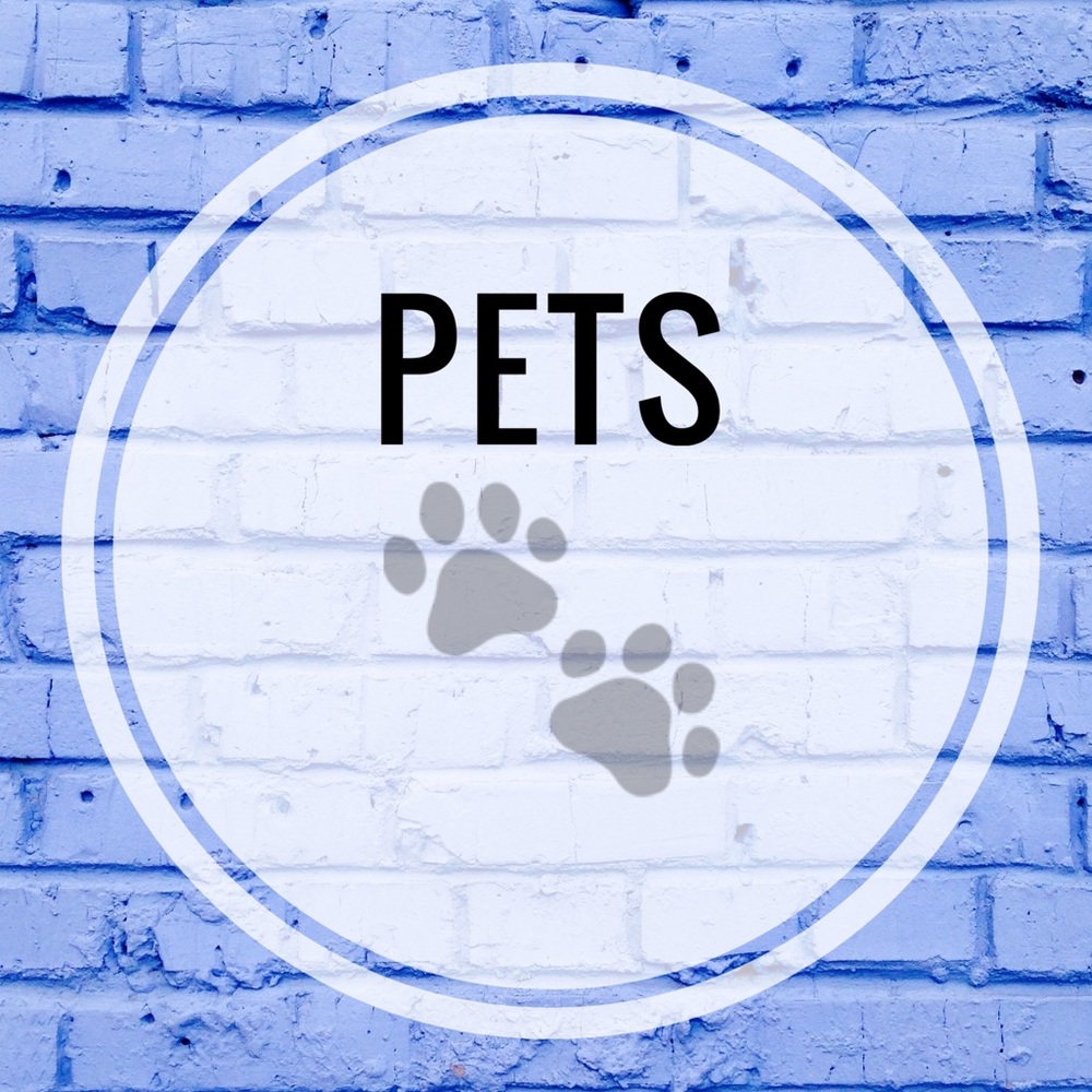 🐾 Bundle to Save! 🐾